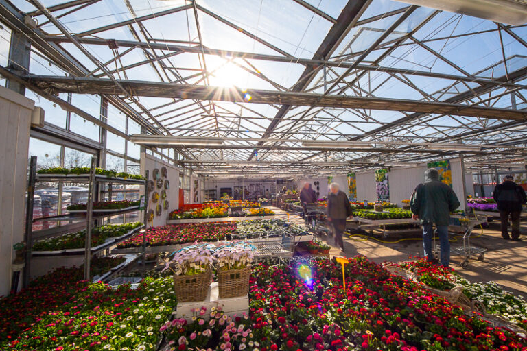 Standorte Seuthes Beste Pflanzen. Beste Preise.