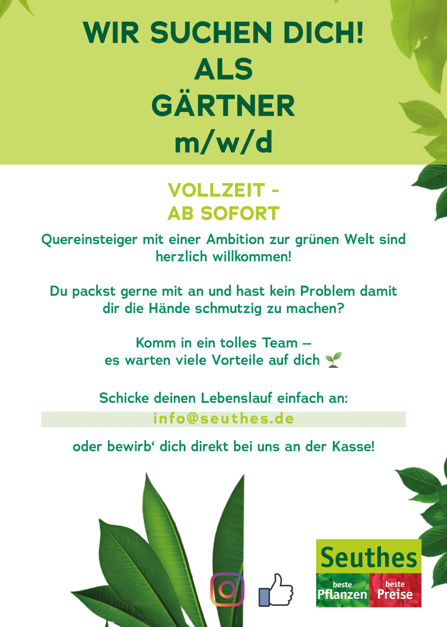 Karriere Seuthes Beste Pflanzen. Beste Preise.