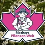 @riechers_pflanzenwelt