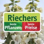 @riechers_beste