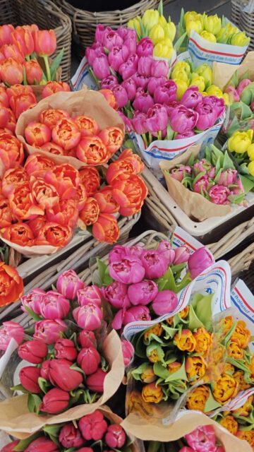 💐 Sooo viele schön Geschenkideen - von schönen Sträußen, Bunden, gepflanzten Schalen bis hin zu unseren Riechers Geschenkkartons 🎁

#schnittblumen 
#geschenkidee 
#pflanzschalen 
#frühlingsgefühl 
#riechersinbraak