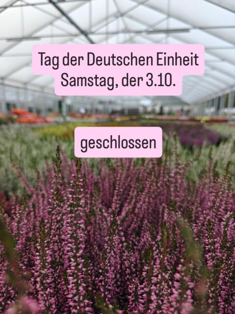 ⚠️ Wir haben am Tag der Deutschen Einheit geschlossen 😊 aber keine Sorge - schon am Sonntag sind wir wieder für euch da 🤗😎

#tagderdeutscheneinheit🇩🇪 #feiertagsöffnungszeiten #riechersgmbh #herbstfarben #ruheimgarten
